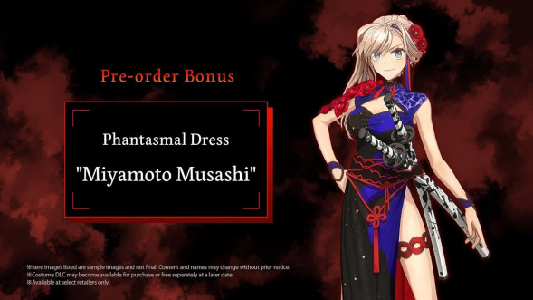 Игра Fate/Samurai Remnant [Nintendo Switch, английская версия] в Петрозаводске
