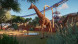Игра Planet Zoo: Console Edition [PS5, английская версия] в Петрозаводске