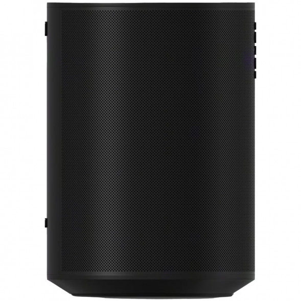 Умная колонка Sonos Era 100, черный в Петрозаводске