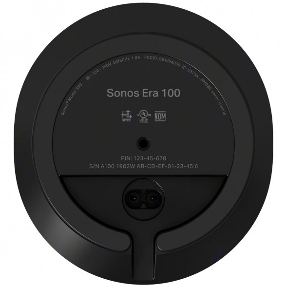 Умная колонка Sonos Era 100, черный в Петрозаводске