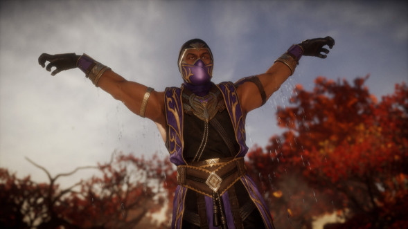 Mortal Kombat 11: Ultimate [PS4, русская версия] в Петрозаводске