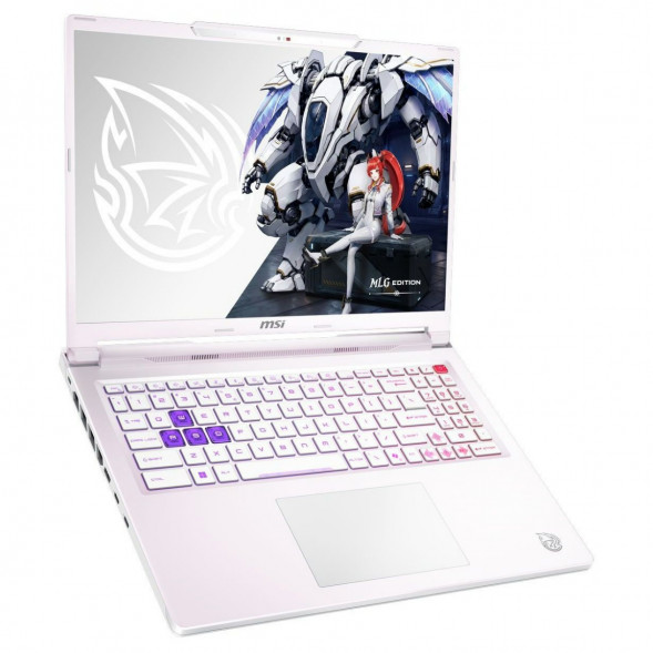 Ноутбук MSI Crosshair A16 HX MLG Edition E8WGXK-089XRUY (16&amp;quot;, IPS, AMD Ryzen 9 8940HX 2.4ГГц, 16 ядер, 16ГБ DDR5, 1ТБ SSD, NVIDIA GeForce RTX 5070 - 12 ГБ, без ОС), белый в Петрозаводске