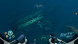Игра Subnautica: Below Zero [PS5, русские субтитры] в Петрозаводске