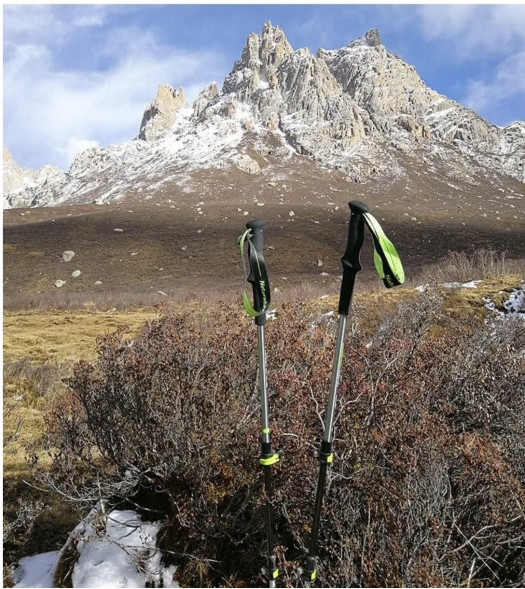 Треккинговая палка Naturehike 135 см, 1 шт., белый/красный в Петрозаводске
