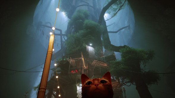 Игра Stray [PS5, русские субтитры] в Петрозаводске