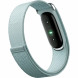 Фитнес-браслет Google Fitbit Air (Серо-голубой/Fog) в Петрозаводске