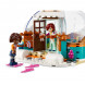 Конструктор LEGO Friends 41760 Праздничное приключение в иглу в Петрозаводске